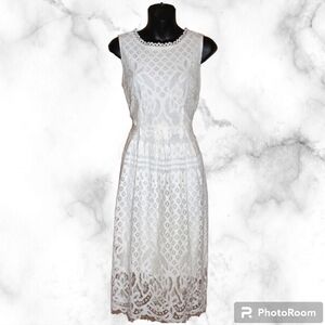 Veiisar Lace Sleeveless Dress - Fully Lined